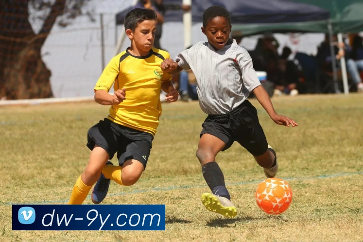 九游官网平台生态图