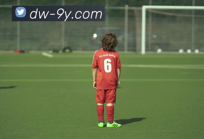 九游官网APP 封面图